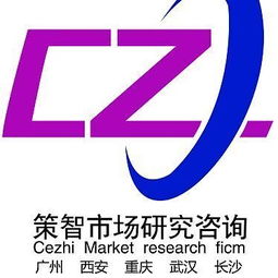 咨詢服務 長沙策智市場調(diào)研公司