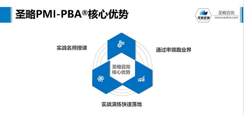 圣略咨詢 項目管理中一項至關(guān)重要的能力 商業(yè)分析