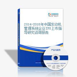 2014-2018年中國(guó)發(fā)動(dòng)機(jī)管理系統(tǒng)企業(yè)IPO上市指導(dǎo)研究咨詢報(bào)告